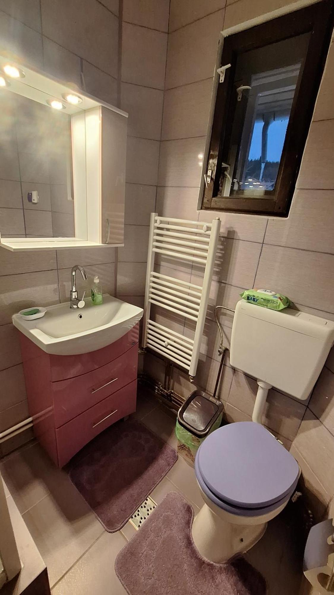 Casa Antonia Otel Azuga Dış mekan fotoğraf